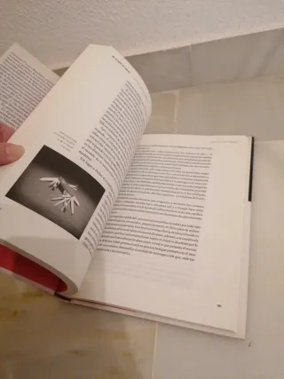 El viaje al amor (Spanish Edition)