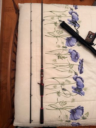 Carrete y caña de casting.