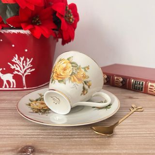 Taza y plato Bavaria Mitterteich porcelana