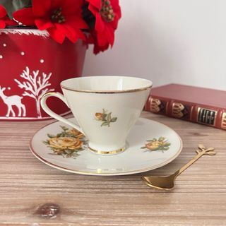 Taza y plato Bavaria Mitterteich porcelana