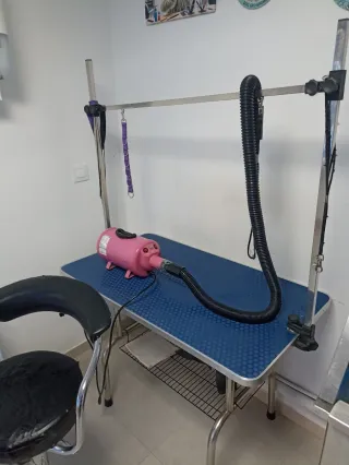 Se vende accesorios de peluquería canina