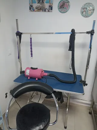 Se vende accesorios de peluquería canina