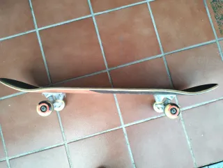 Skate Oxelo