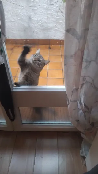 Cuidadora las personas mayores o ayudante cocina