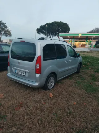 Peugeot e-Partner 2010