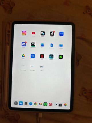 iPad Pro 11 Grigio Siderale