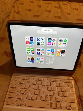 iPad Pro 11 Grigio Siderale