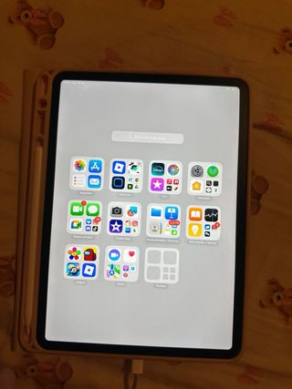 iPad Pro 11 Grigio Siderale