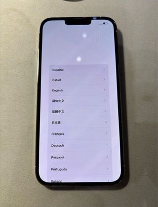 iPhone 13 Pro Max Blanco