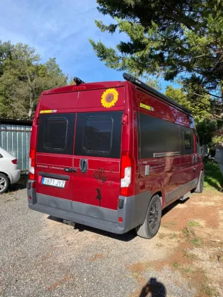 FIAT Ducato 2017