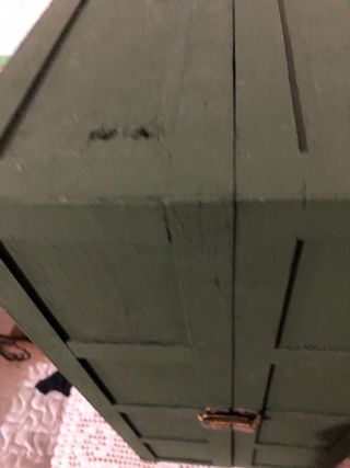 Muñeca con armario y accesorios