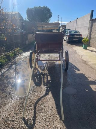 Carro de caballos para paseos