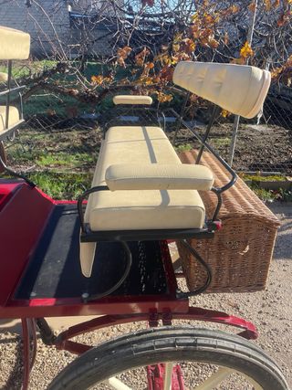 Carro de caballos para paseos