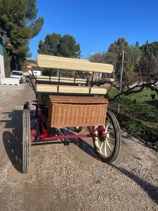 Carro de caballos para paseos