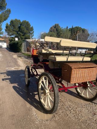 Carro de caballos para paseos