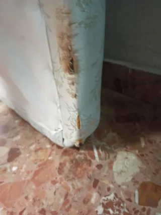 Somier Tapiflex de 90