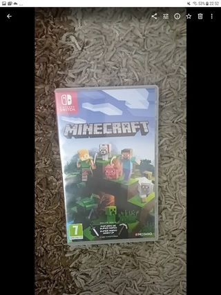 Minecraft Nintendo Switch