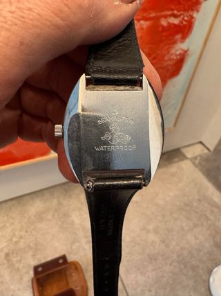 Omega Seamaster Cosmic Originale