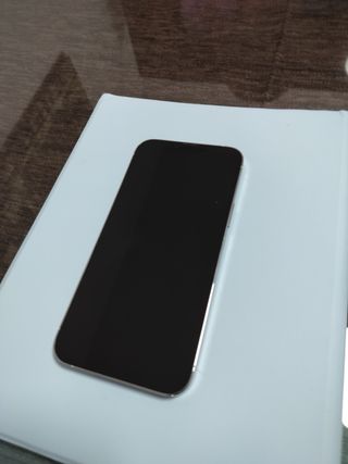 iPhone 13 Pro Max Plata