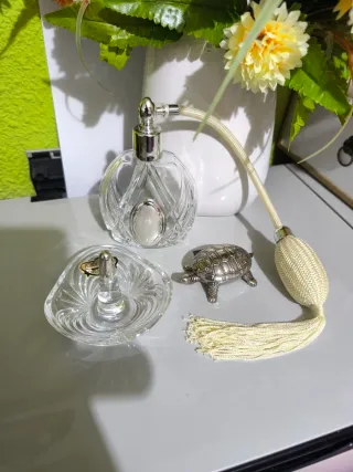 Preciosa tortuga decorativa