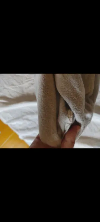 Felpa Disney Mickey Mouse Tg L