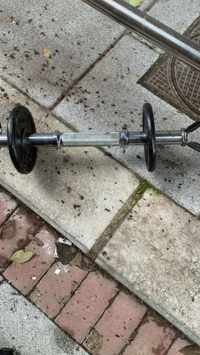 Confezione da 2 manubri con dischi