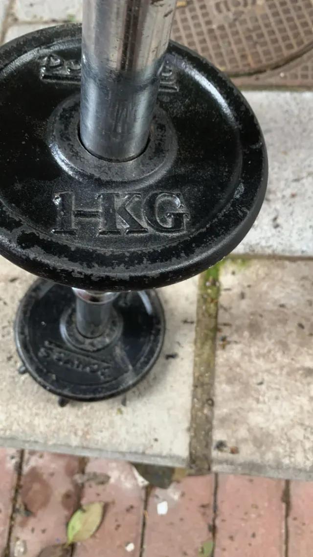 Confezione da 2 manubri con dischi