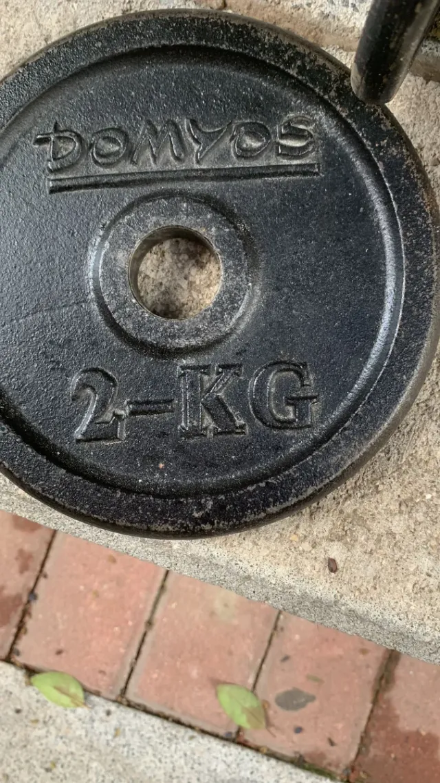 Confezione da 2 manubri con dischi