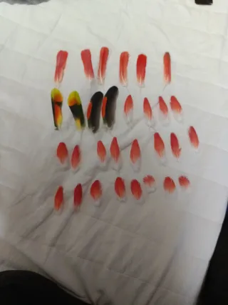 Plumas de loro Yaco y Amazónico