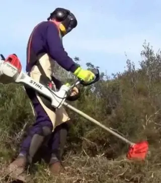 Desbroces y limpieza de fincas.