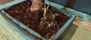 FIGURITA PARA BONSAI