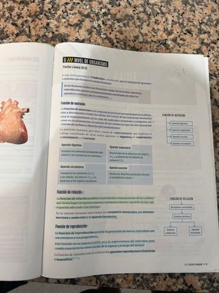 Proyecto: FanFest - Biología y Geología 3 ESO