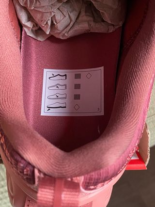 Nike Air Max DN Rosa