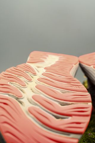 ASICS Gel Cumulus GTX Donna 40 | Scarpe da Corsa