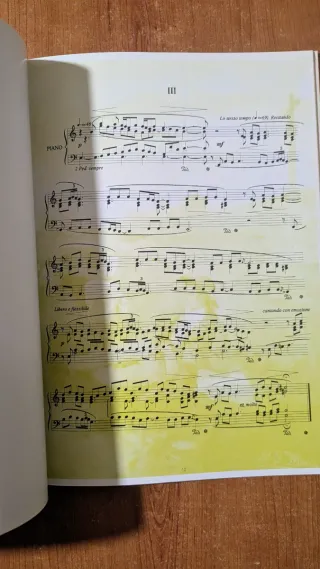 Diapasón diatónico. Homenaje a Federico Olmeda.44x