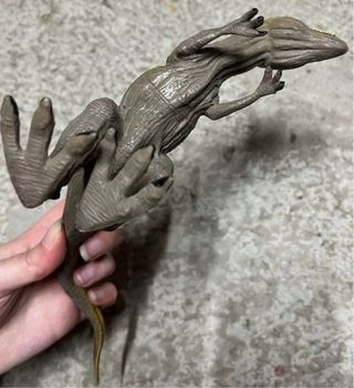 Giocattoli dinosauri T-Rex e Giganotosaurus