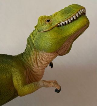 Giocattoli dinosauri T-Rex e Giganotosaurus