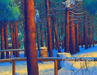Cuadro Puerto la ragua