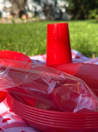 Portavivande picnic vintage anni '70