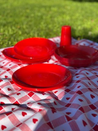 Portavivande picnic vintage anni '70