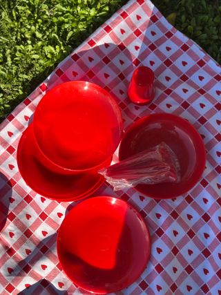 Portavivande picnic vintage anni '70