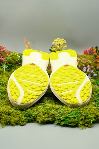 Salomon Sense Flow 2 Bambino 31 | Scarpe da Corsa