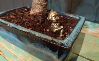 FIGURITA PARA BONSAI