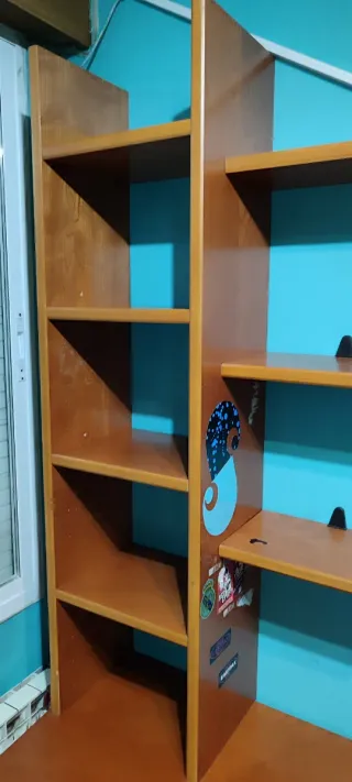 ESCRITORIO, ESTANTERIAS Y ARCÓN.