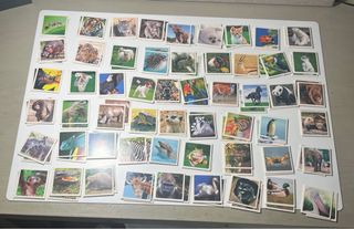 Juego de mesa Identic Memo Game Natura Educa