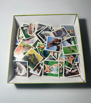 Juego de mesa Identic Memo Game Natura Educa