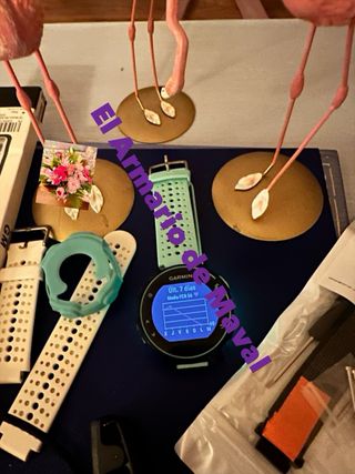 Reloj Garmin Forerunner 235 Verde/Blanco