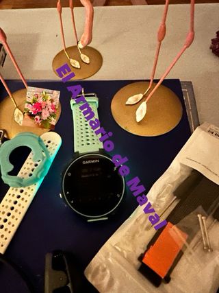 Reloj Garmin Forerunner 235 Verde/Blanco