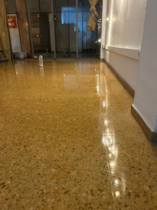 Limpieza Final de Obra, pulido de suelos y pintura