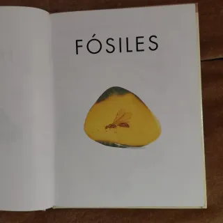 Fósiles